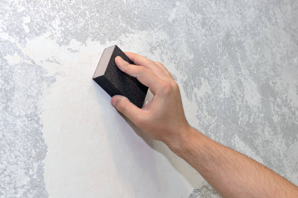 Best Industrial Mold Remediation  in Wyandotte, MI