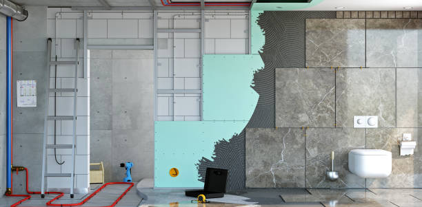 Best Basement Mold Removal  in Wyandotte, MI