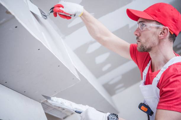 Best Mold Remediation for Healthcare Facilities  in Wyandotte, MI